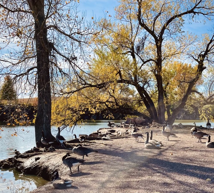Arrowhead Park (Waterfowl Feeding Area) (Sioux&nbspFalls,&nbspSD)